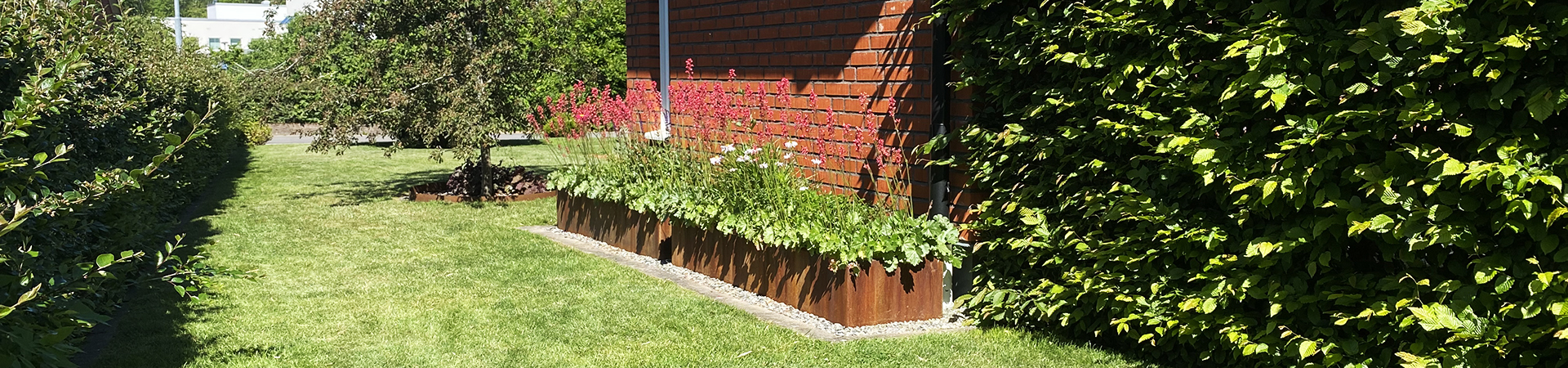 Odlingsåda CORTEN