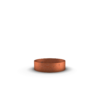 Trädring delad i corten