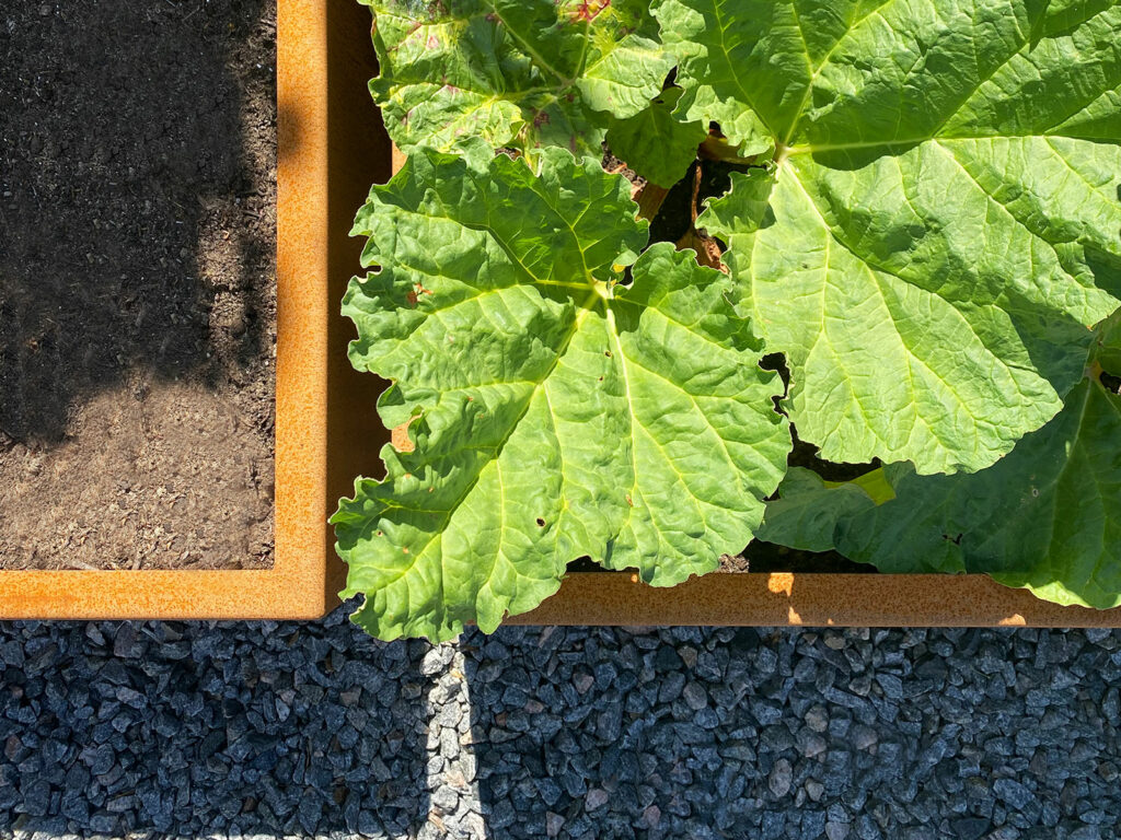 Odlingslåda i corten, modell Standard Fals