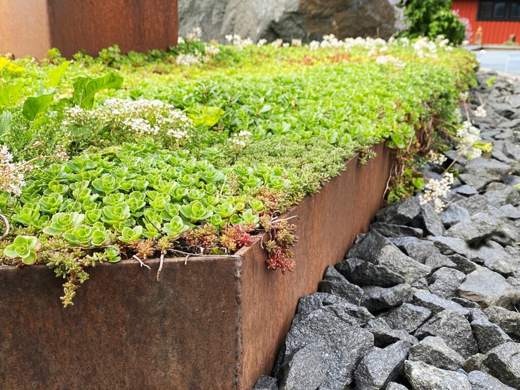 Rabattkant i corten, modell Natur