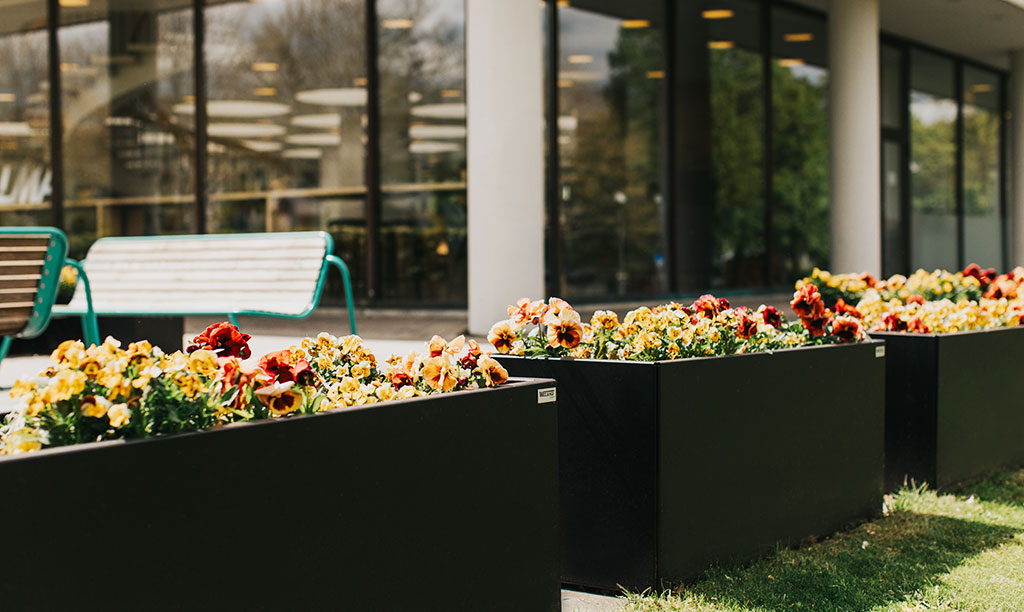 Planteringskärl i svart lackerat utförande