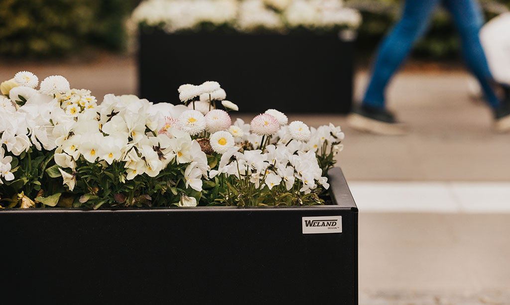 Planteringskärl i svart lackerat utförande