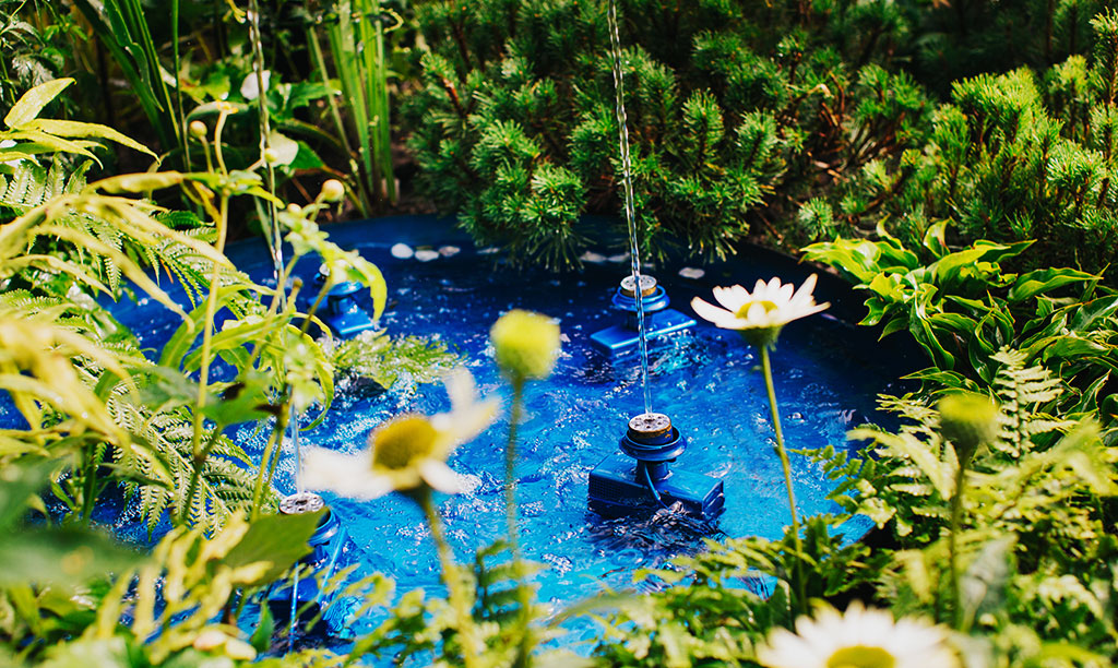 Trädgårdsmässan 2025, Sofiero Slott