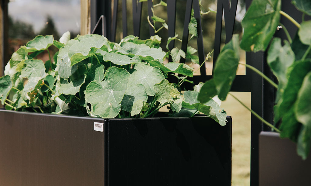 Planteringskärl och avskärmare i anpassade mått