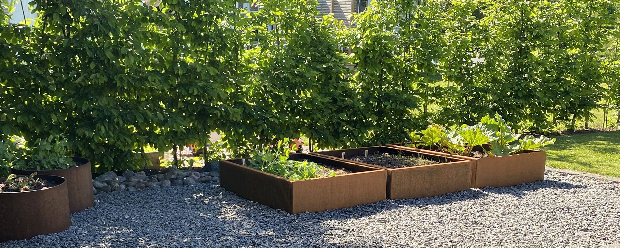 2000×800-bx00001500 Odlingslåda i corten